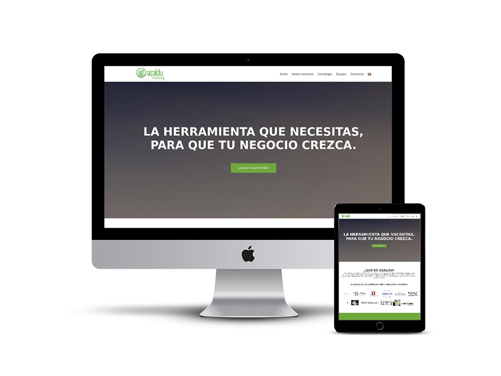 Diseño Página web Azaldu