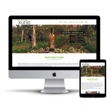 Diseño Página web Vino blanco Baztan