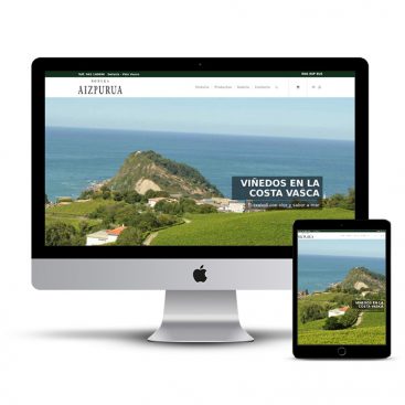 Diseño Página web Txakoli Aizpurua