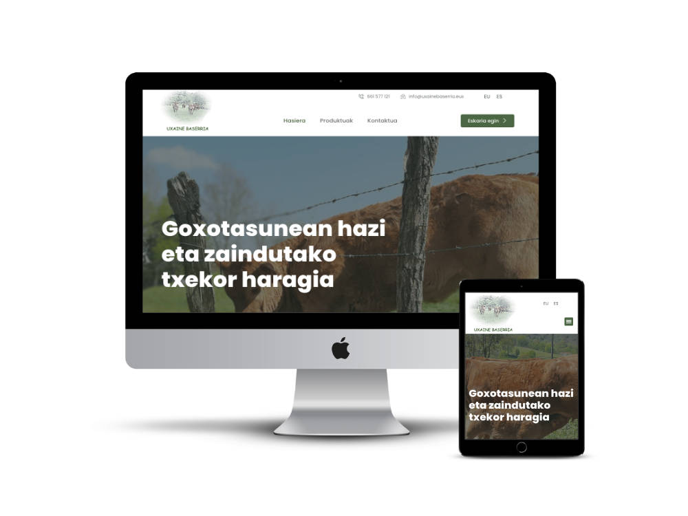 Diseño web Pamplona Uxaine Baserria